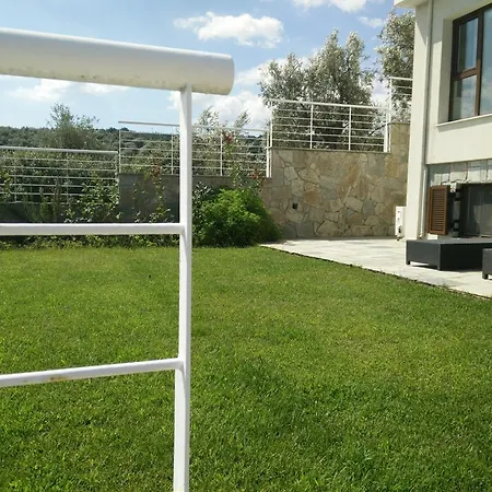 Lefki 14 * Pteleos